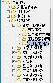 專業技術服務業開票類目選擇指南 信息技術咨詢服務適用性解析
